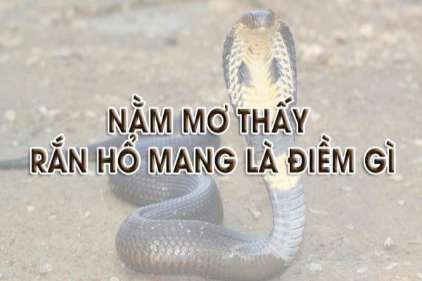 nam-mo-thay-ran-ho-mang-danh-con-gi-giai-dap-giac-mo