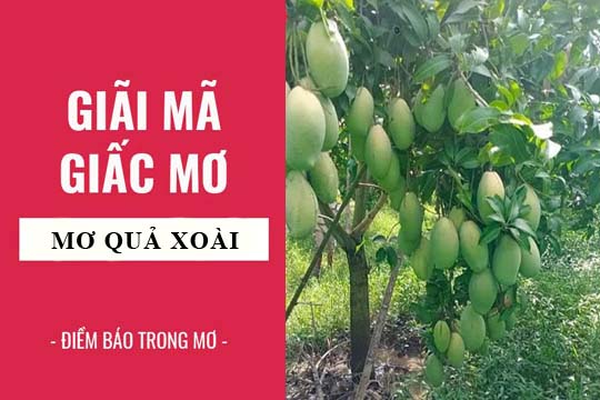 Nằm mơ thấy xoài có ý nghĩa gì?